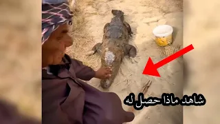 لن تصدق ما ستراه! مخلوقات غريبة ولحظات مذهلة من حول العالم