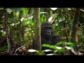 National Geographic Live Mireya Mayor