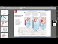 Chapter 20 Development Heredity and Aging