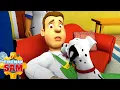Download Lagu Fireman Sam's Animal Friends! | Fireman Sam Official | Cartoons for Kids