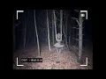 Download Lagu Nimi Nightmare sings Cannibal by Ke$ha