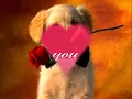 jay sean-ride it
