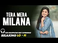 Lagu TERA MERA MILNA || RELAXING LO -FI Version || तेरा मेरा मिलना | HINDI LOFI SONG