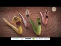 TVC Konvermex 2017