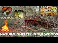 Solo Overnight Building a Natural Shelter With a Pocket Knife and a Can of Mystery Meat in the Woods