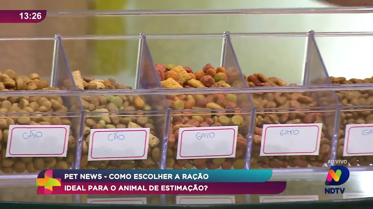 Ração Pet: Qual a Melhor Escolha para a Saúde do seu Animal?