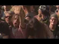 Heaven Shall Burn - Valhalla (Blind Guardian cover) Live @ Wacken Open Air 2014