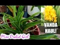 Download Lagu Small Vanda Orchid haul