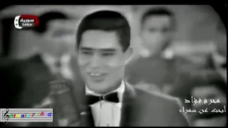 أبحث عن سمراء حفلة محرم فؤاد 