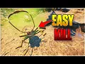 Grounded First Stink Bug Kill Strategy