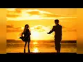 Download Lagu Love Love Love - Fox in Oil [ Inshot Music ]