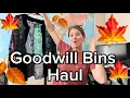Reseller Goodwill Bins Haul Sourcing clothing for this Fall Winter Season 2026 2 Each