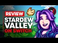 Stardew Valley Nintendo Switch Review - Is It Worth It