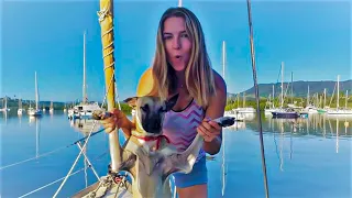 HUGE Milestone! Our Sailing Adventure has only Just Begun Ep 114