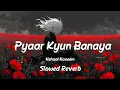 Pyaar Kyun Banaya - Nehaal Naseem | Slowed Reverb | Music Vibes
