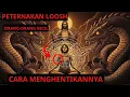 Lagu Yesus Memperingatkan Umat Pilihan: Di Dalam Sistem Pertanian Loosh — Inilah Cara Menghentikannya