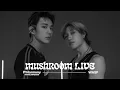 Download Lagu MUSHROOM LIVE SPECIAL 피원하모니 인탁 \u0026 종섭 P1Harmony INTAK \u0026 JONGSEOB - WASP
