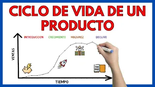 Product Life Cycle Explained | + Examples | Business Economics 78#
