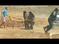 Download Lagu Geredde olifant bedankt helden… door op ze af te stormen