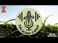 Refining corn nitrogen recommendations