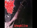 Corporal Raid - Xenophilism (Full Album)