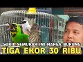 Lagu JUAL NYA UGAL-UGALAN || BURUNG SITA'AN TIGA EKOR 30 RIBU DI KIOS LANGGENG JAYA PB PRAMUKA 