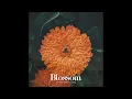 Blossom - Rezar, Dario Lessing