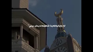 والموعد في جنة عدن    دندنها
