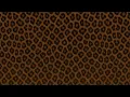 1 hour animal print screen