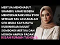 Download Lagu SUAMI DI HASUT MERTUA UNTUK MENCERAIKANKU - DIA SYOK DAN KAGET BEGITU TAU AKU CEO KAYA RAYA ..