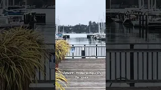 Requesting a fly by . Over . Hahaha #fyp #vlog #nature #wildlife #dream #sailing