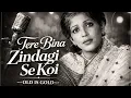 Lagu Tere Bina Zindagi Se | Old Is Gold | 1970s Retro Cover | Sanjeev Kumar, Suchitra Sen