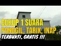 Lagu Suara Panggil Tarik Inap Walet Terbaik Super Jernih TESTIMONI Suara Panggil Walet Asli Alam