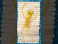 How to Make a Pasta Skeleton