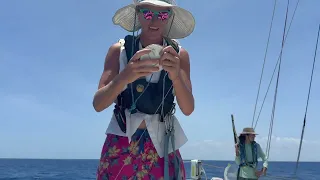 literally BULLETPROOF nav lights at ShowMeYourDinghy com