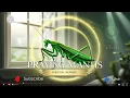 Spiritual Meaning of Praying Mantis in Your House A Sign of Stillness Divine Message