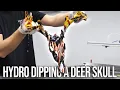 How to HYDRO DIP a Deer Skull