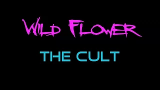 Wild Flower The Cult Lyrics 