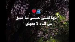 حماقي يا عيني على التفاصيل    أجمل كوبليه رومانسي من أغنية بيقولوا دندنها