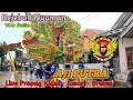 Download Lagu Kejebak Nyaman - Voc Bella ❗️❗️❗️ Burok Aji Putra Live Prapag Kidul Losari Brebes