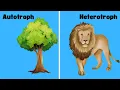 Producer vs Consumer - Biology