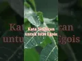 Download Lagu Sindiran untuk Istri Egois #katasindiran #istrisetia