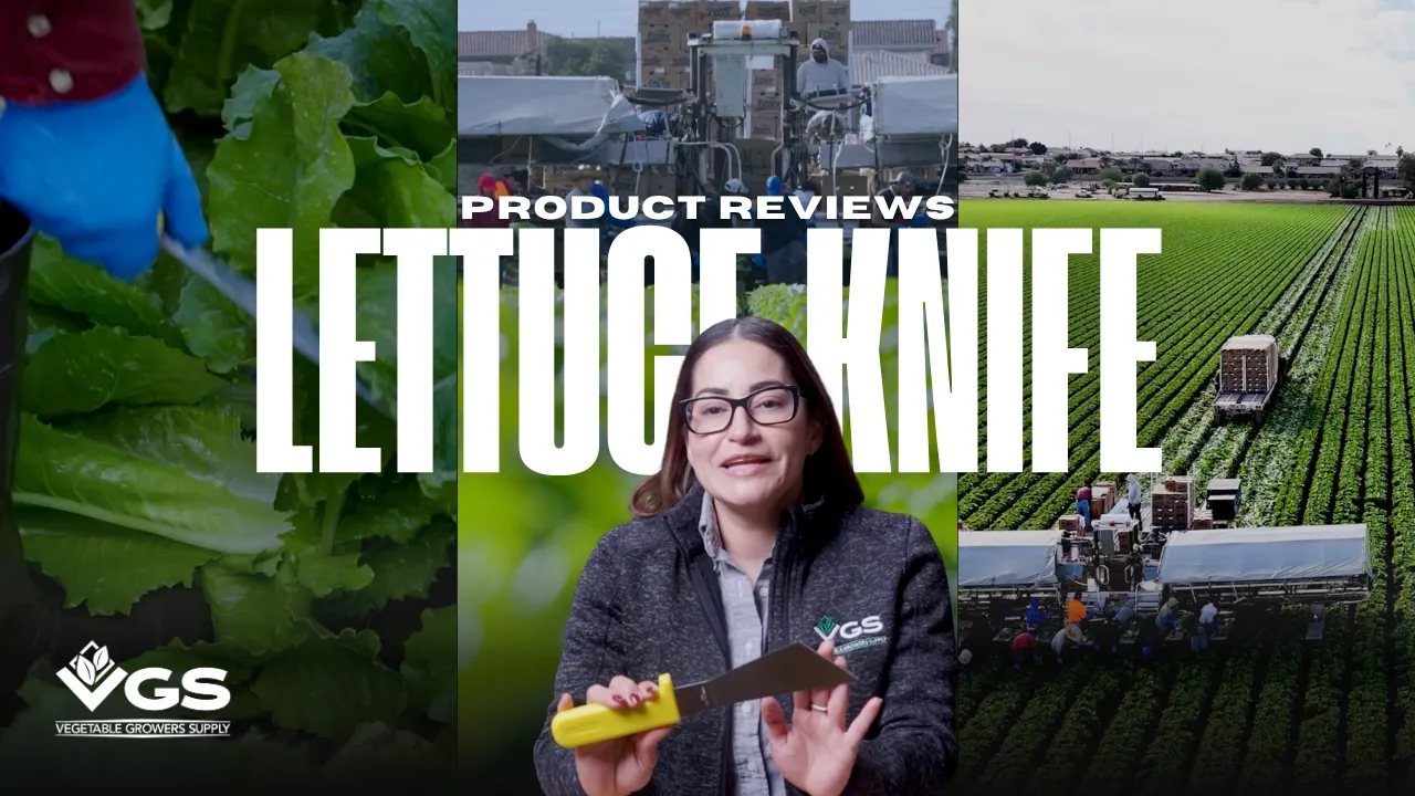 Lettuce Harvesting Knife with 7 1⁄8 Inch Stainless Steel Blade
