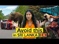 Lagu Watch this BEFORE you come to Sri lanka | A locals guide