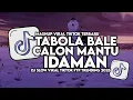 Download Lagu DJ VIRAL TIKTOK TABOLA BALE X CALON MANTU IDAMAN | SOUND TIKTOK PALING VIRAL 