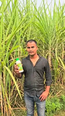 कुशीनगर के किसान संदीप कुमार ने गन्ने की अच्छी खेती के लिए दी कैसी टिप्स    |वनइंडिया हिंदी