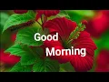 Ep-34 Good morningwishes with Beautiful images Good morning status smilingthulasi3686