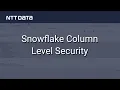 Snowflake Column Level Security - NTT DATA Databytes