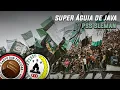 Download Lagu Super Elang Jawa - PSS Sleman (Indonésia) [Legendado (PT/ES/IN)]