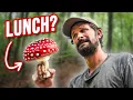 Download Lagu We Went Foraging For Our Food